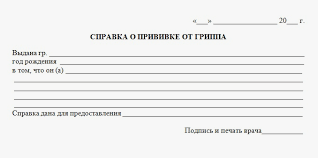 Купить справку о прививке от гриппа в Красноярске недорого